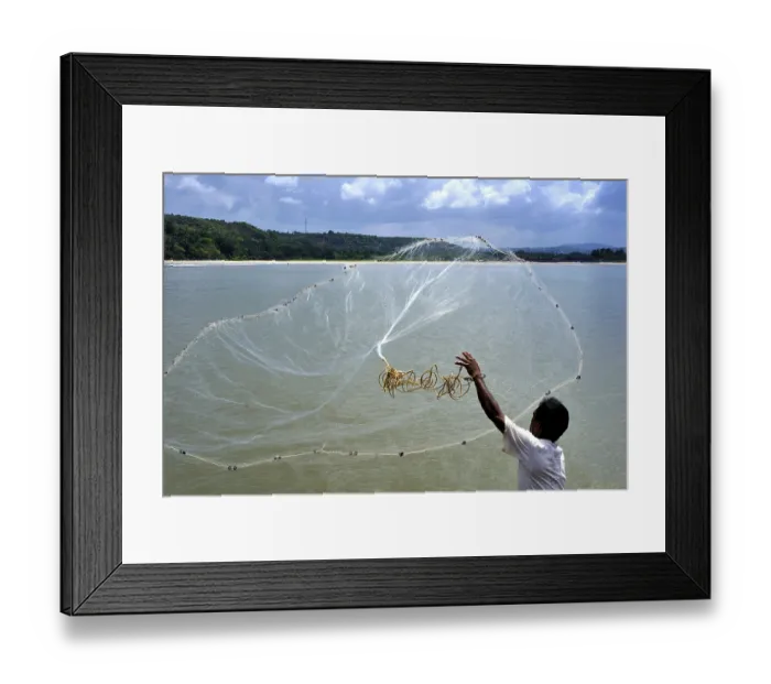 Framed Print : Fisherman throwing net in Arabian sea at Vengurla