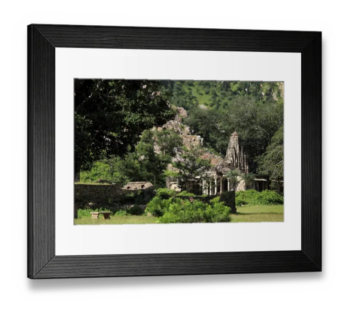 Framed Print : Somnath temple, Bhangarh, Rajasthan, India