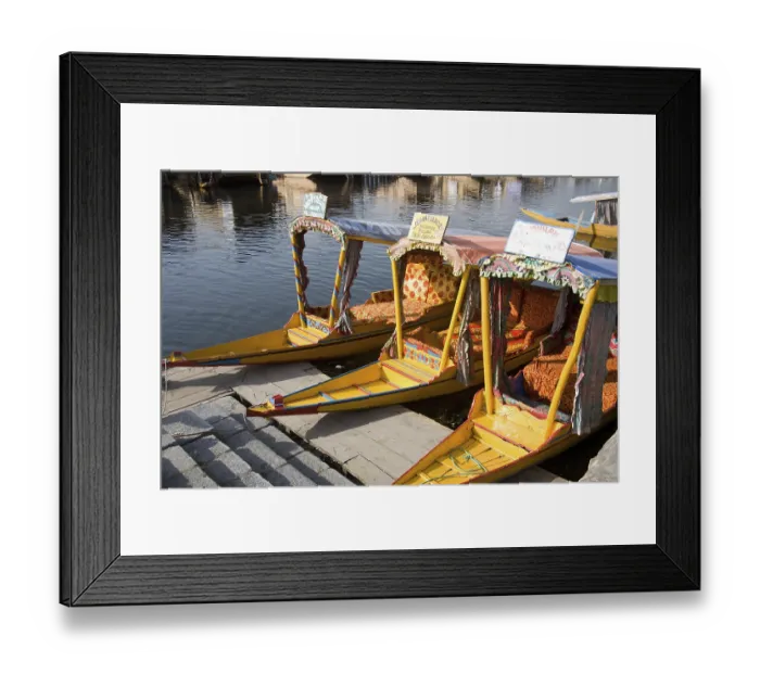 Framed Print : Shikara boats at bank of dal lake