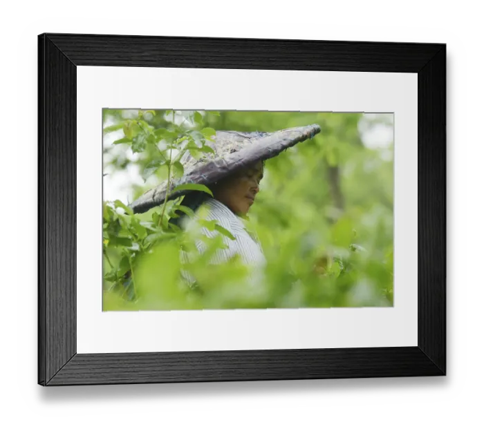 Framed Print : Agartala, Tripura, India Framed Print : Agartala, Tripura, India