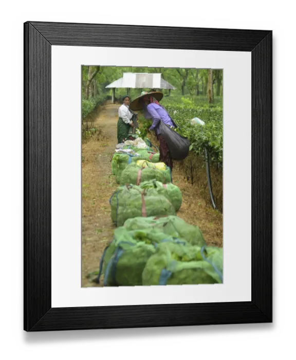 Framed Print : Agartala, Tripura, India