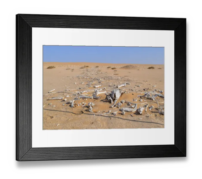 Framed Print : Desert scenery including lots of bleached animal bones seen in Namibia