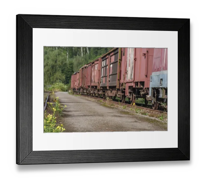 Framed Print : Old red goods wagons on a railway track in a rural setting