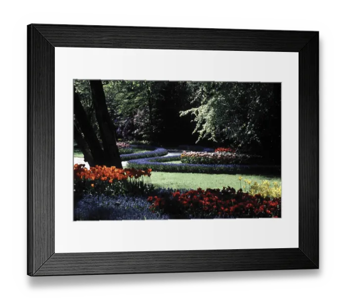 Framed Print : Leiden, Keukenkof Framed Print : Leiden, Keukenkof