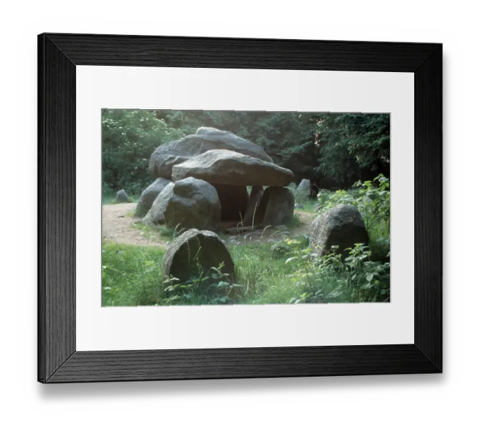 Framed Print : Everstorf, Forest Framed Print : Everstorf, Forest