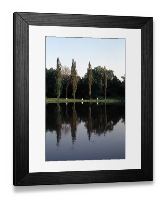 Framed Print : View over Lake Worlitz View over Lake Wrlitz