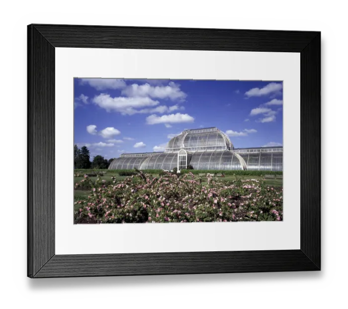 Framed Print : London, Kew Gardens, Palm house, 1841 and 1849 Framed Print : London, Kew Gardens, Palm house, 1841 and 1849