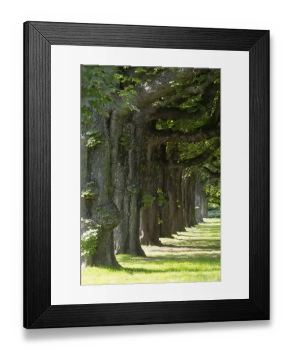 Framed Print : Krefeld, HohenzollernstraBe Krefeld