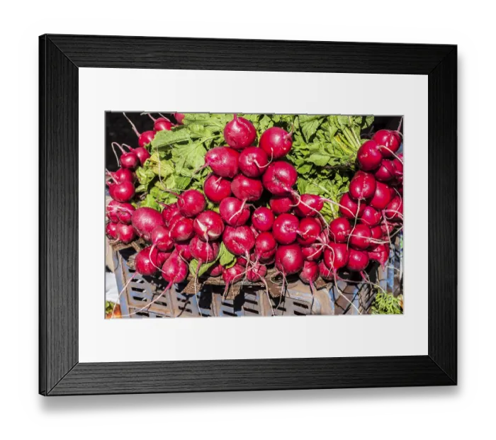 Framed Print : Radish, mahabaleshwar, wai, maharashtra