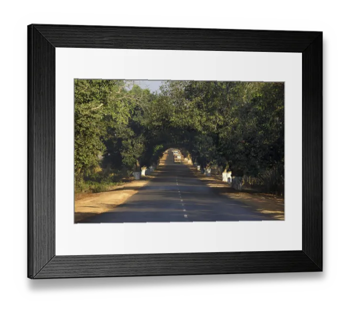 Framed Print : National highway, bastar, chhattisgarh