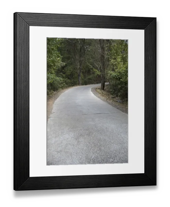 Framed Print : Carved road, sanjay gandhi national park