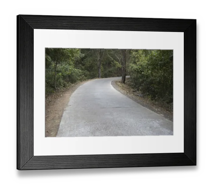 Framed Print : Carved road, sanjay gandhi national park