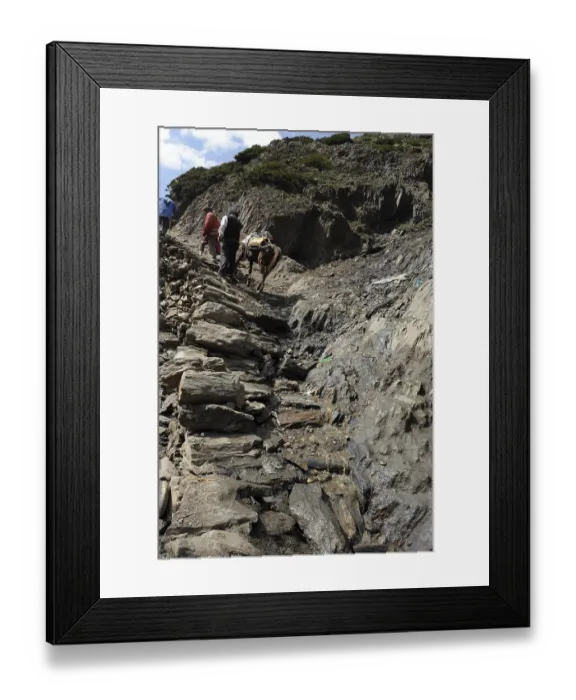 Framed Print : Pilgrim, amarnath yatra, Jammu Kashmir