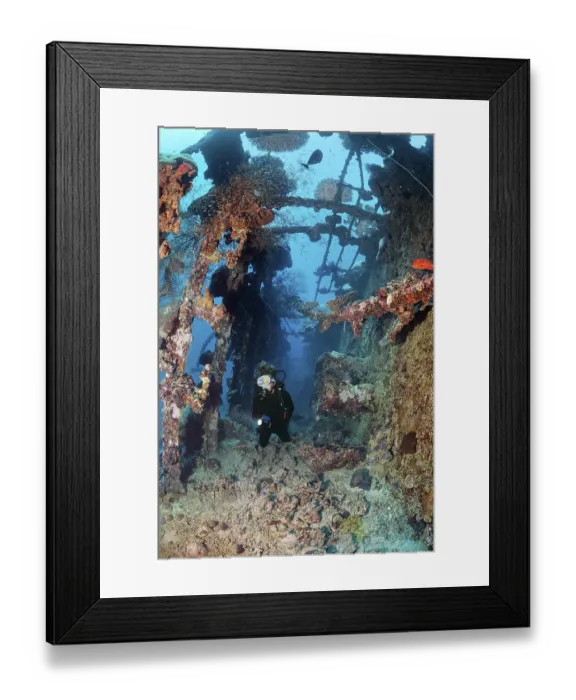 Framed Print : Diver explores British Loyalty