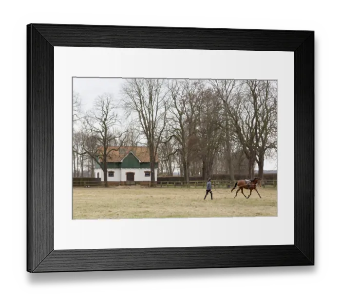 Framed Print : Erftstadt, Romerhof stud farm near Lechenich Erftstadt Framed Print : Erftstadt, Romerhof stud farm near Lechenich Erftstadt