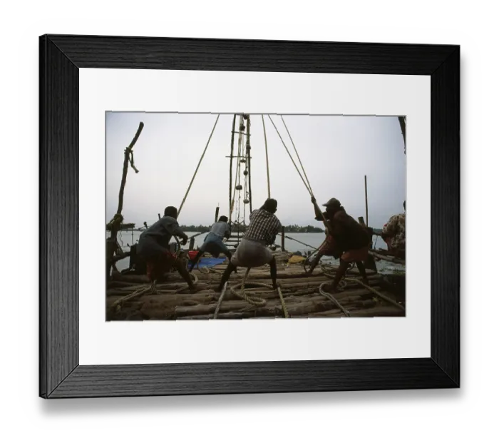 Framed Print : Operating Chinese fishing net, (cochin) kochi