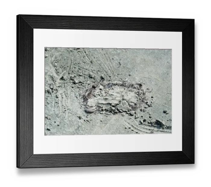 Framed Print : Hair burying under sand at gangasagar fair