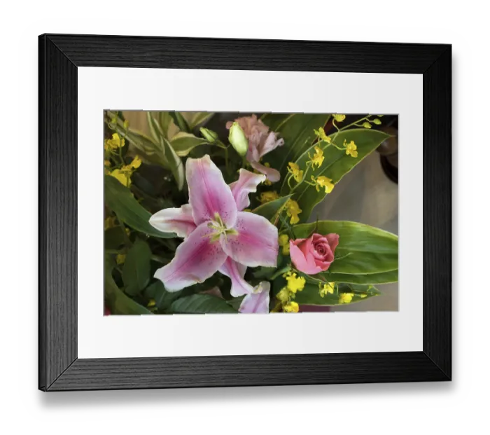 Framed Print : Japan, orchids