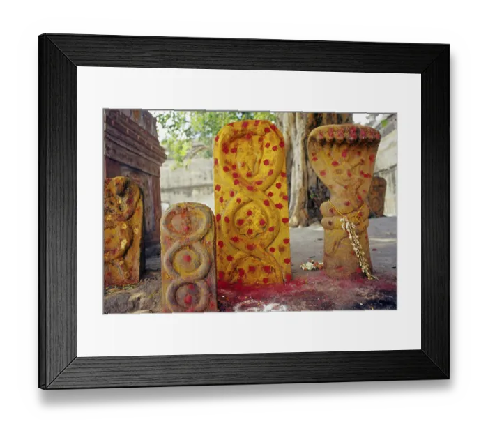 Framed Print : Devaraja swamy temple in kanchi at tamil nadu India