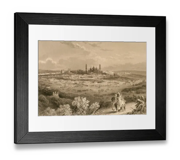 Framed Print : Delhi Framed Print : Delhi