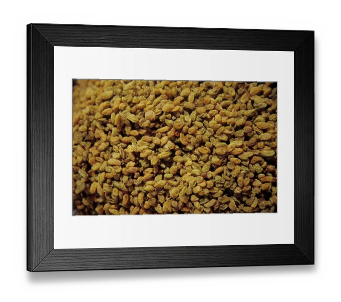 Framed Print : Dryfruits - Raisins Framed Print : Dryfruits - Raisins