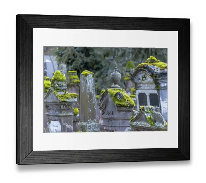Framed Print : Jewish cemetery with gravestones and grave slabs with green moss