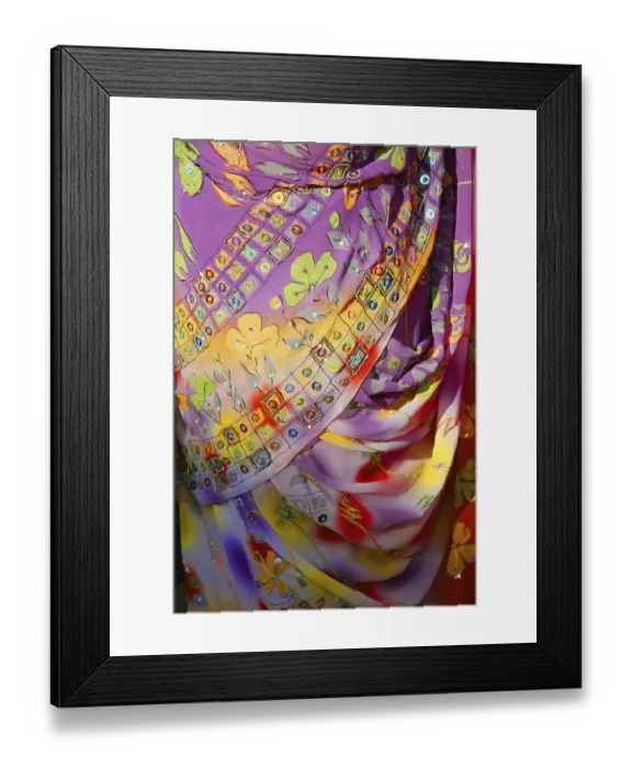 Framed Print : Indian embroidered dress sari