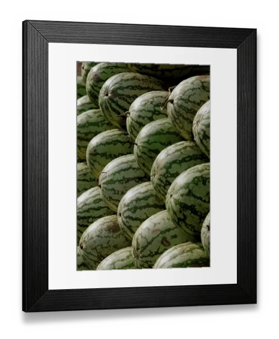 Framed Print : Fruit, Watermelons in line and in pile for sale Framed Print : Fruit, Watermelons in line and in pile for sale