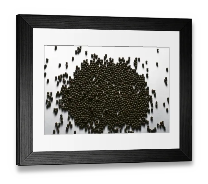 Framed Print : Food, Dried Black Peas pisum sativum Framed Print : Food, Dried Black Peas pisum sativum