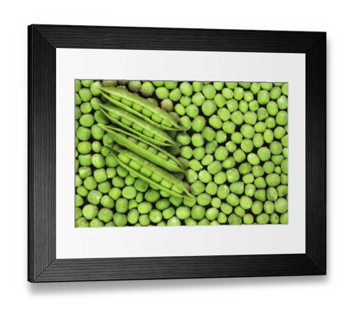 Framed Print : Vegetable, green peas, india