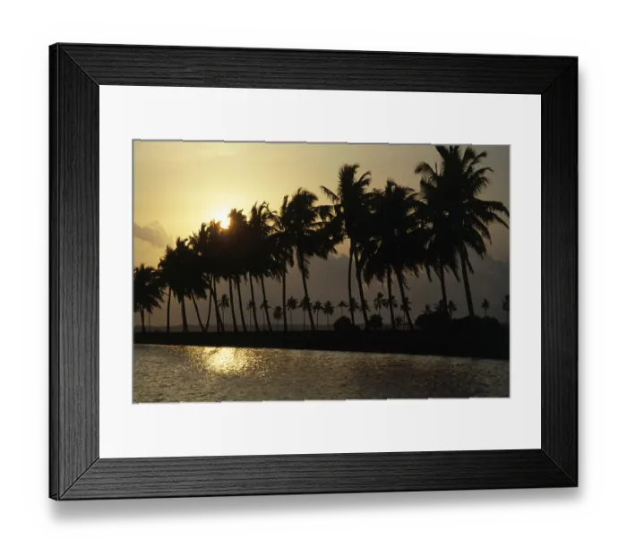Framed Print : Sunset at backwater, Alappuzha (alleppey)