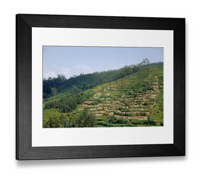 Framed Print : Ooty, tamil nadu, india Framed Print : Ooty, tamil nadu, india