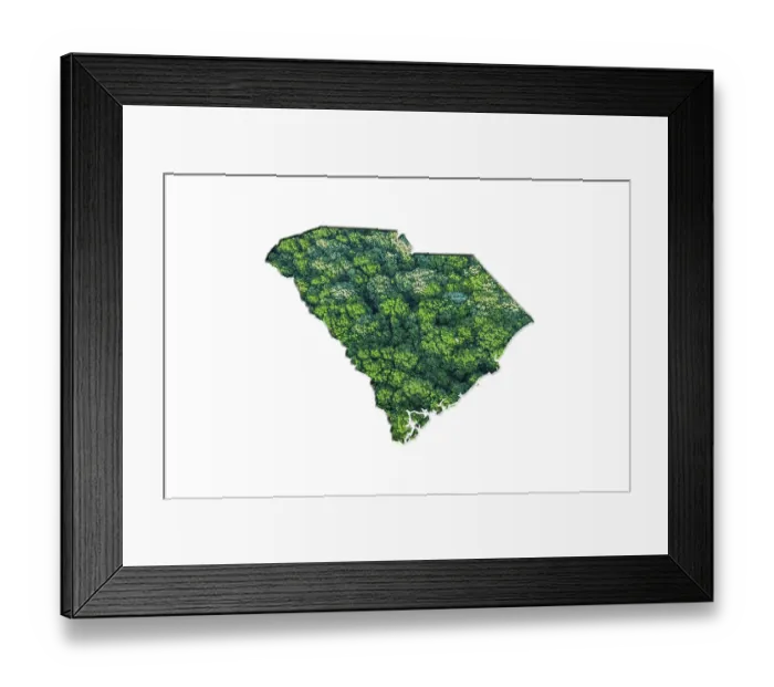 Framed Print : Green Forest Map of South Carolina Framed Print : Green Forest Map of South Carolina