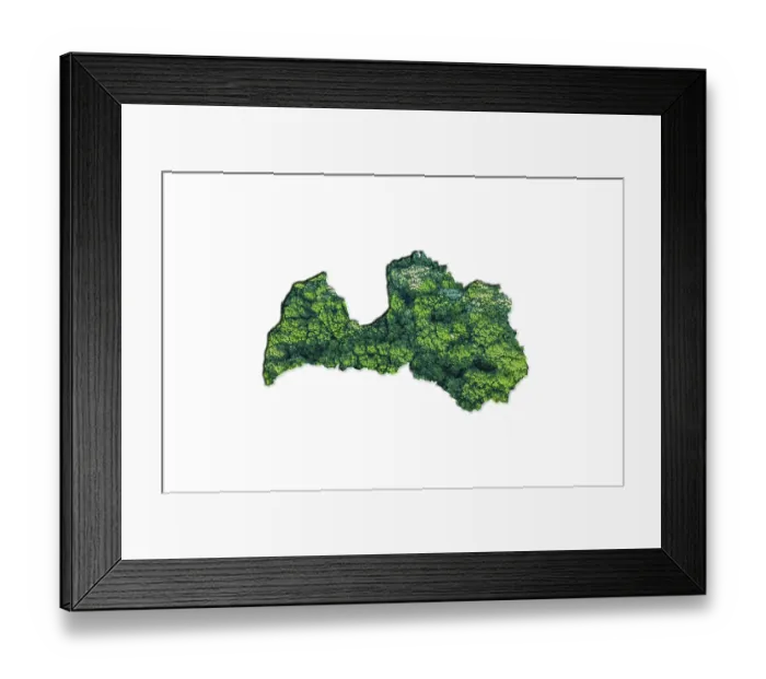 Framed Print : Green Forest Map of Latvia, on white background Framed Print : Green Forest Map of Latvia, on white background