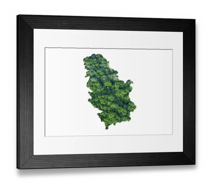 Framed Print : Green Forest Map of Serbia, on white background
