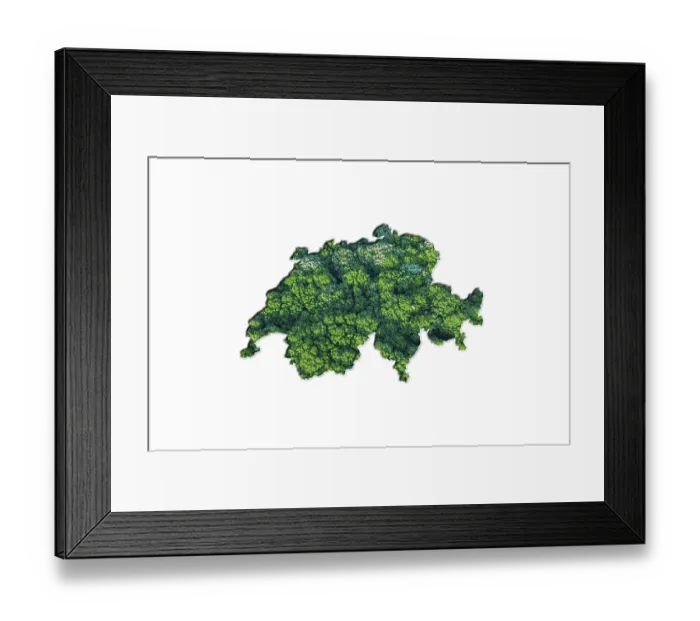 Framed Print : Green Forest Map of Switzerland Framed Print : Green Forest Map of Switzerland