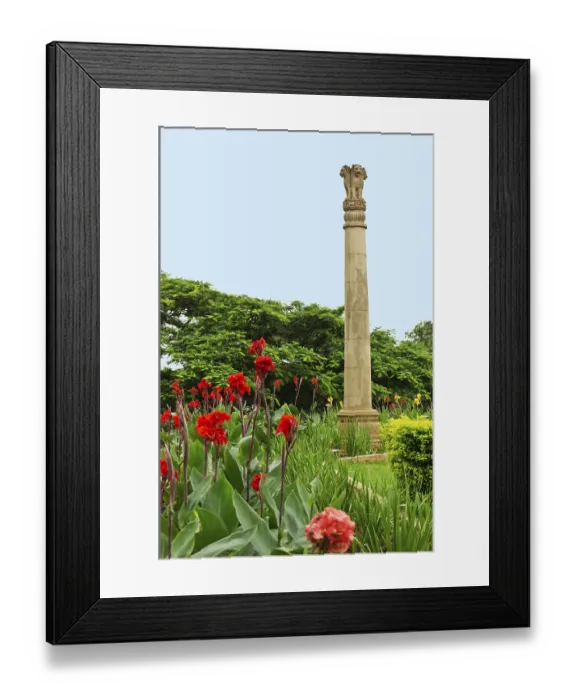 Framed Print : Ashoka Pillar in Kamala Nehru Park