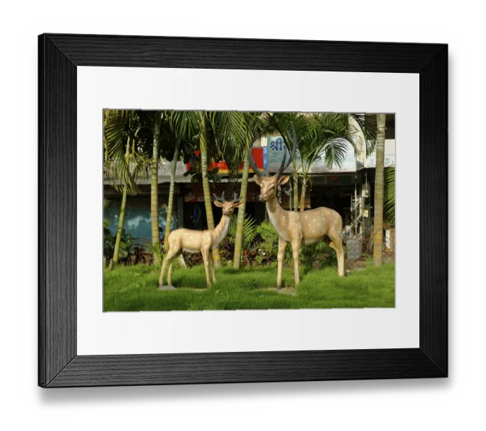 Framed Print : Antelope statue, alibag, raigad Framed Print : Antelope statue, alibag, raigad