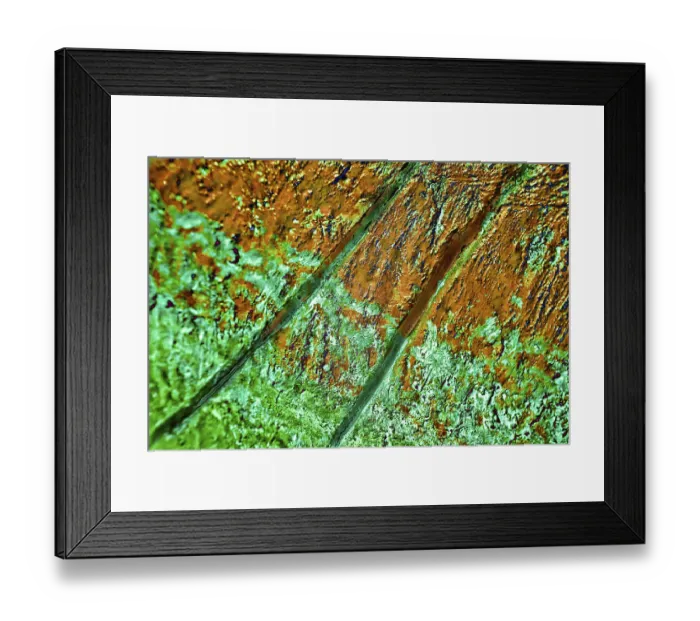 Framed Print : Modern fine art computer graphics designs paintings creative curve and form 25-11-2010 Framed Print : Modern fine art computer graphics designs paintings creative curve and form 25-11-2010