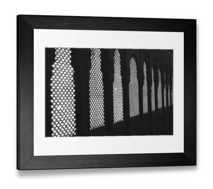 Framed Print : Jharokhas of gallery inside Junagarh fort