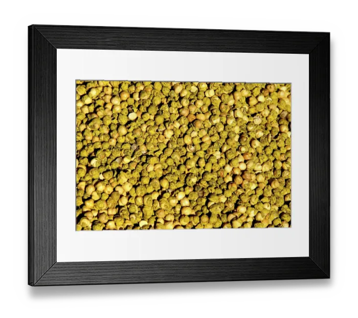 Framed Print : Grain, red dried gram seeds legume
