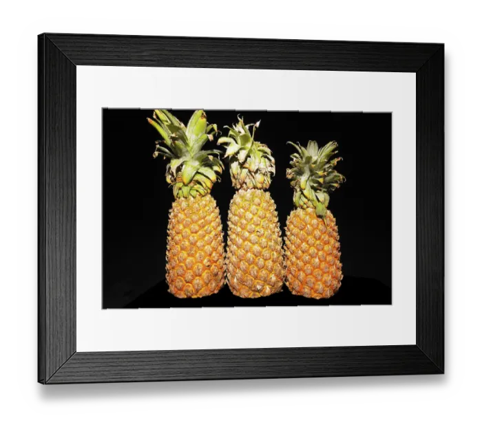 Framed Print : Fruits, pineapples ananas comosus with leaves Framed Print : Fruits, pineapples ananas comosus with leaves