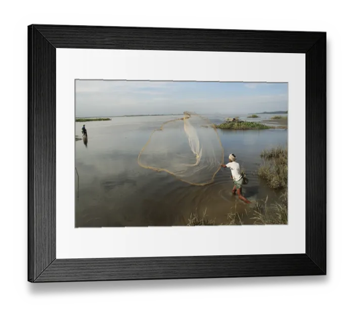 Framed Print : Fisherman throwing net in river brahmaputra