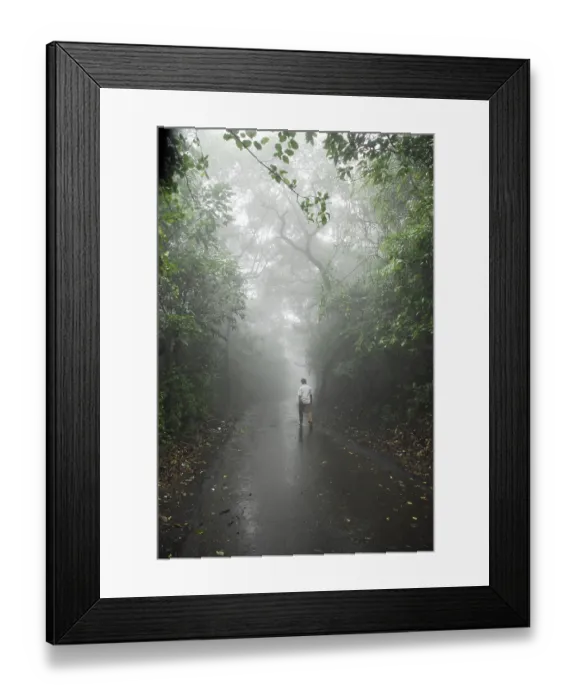 Framed Print : Monsoon, man walking on road between forest
