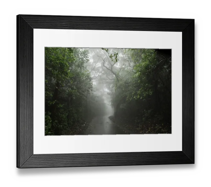 Framed Print : Monsoon, road between forest, Mahabaleshwar Mahabaleshwar
