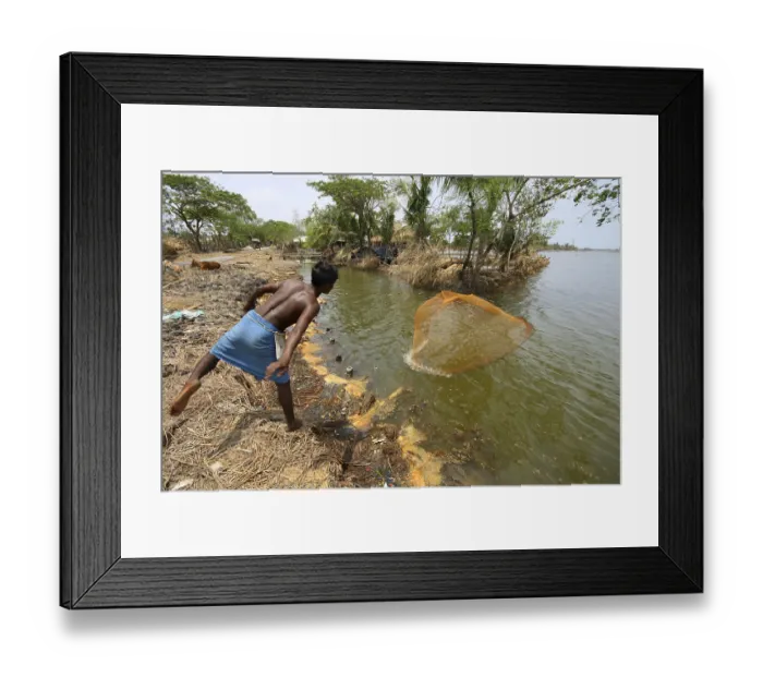Framed Print : Fisherman throwing net in pond