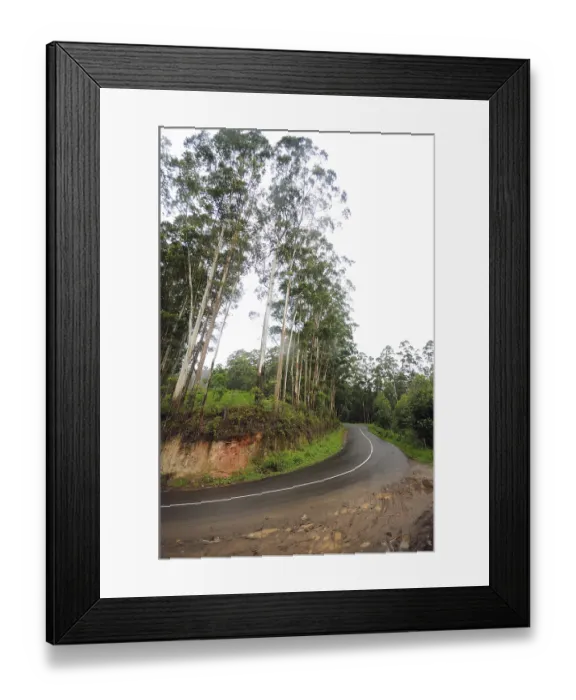 Framed Print : Ring road and trees at, Munnar, Kerala, India Framed Print : Ring road and trees at, Munnar, Kerala, India