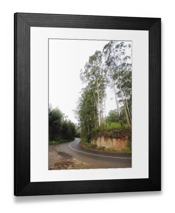 Framed Print : Ring road and trees at, Munnar, Kerala, India