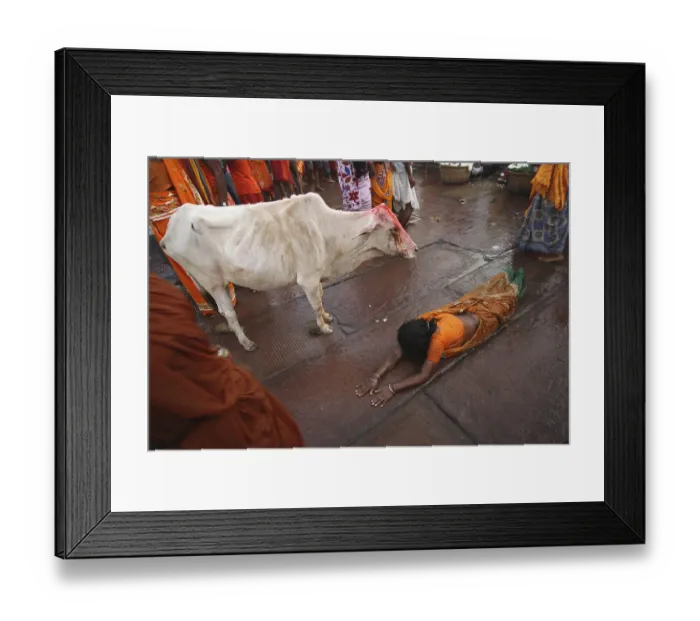 Framed Print : Woman bowing down to god srabani purnima Framed Print : Woman bowing down to god srabani purnima