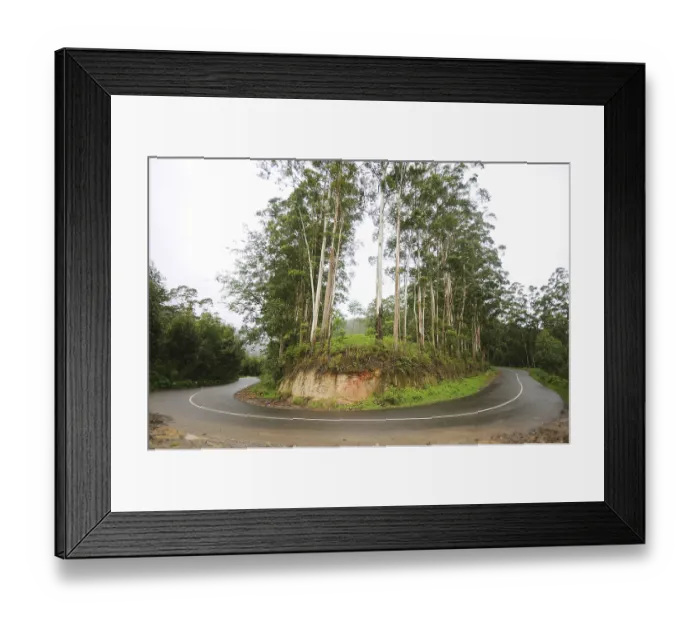 Framed Print : Ring road and trees at, Munnar, Kerala, India
